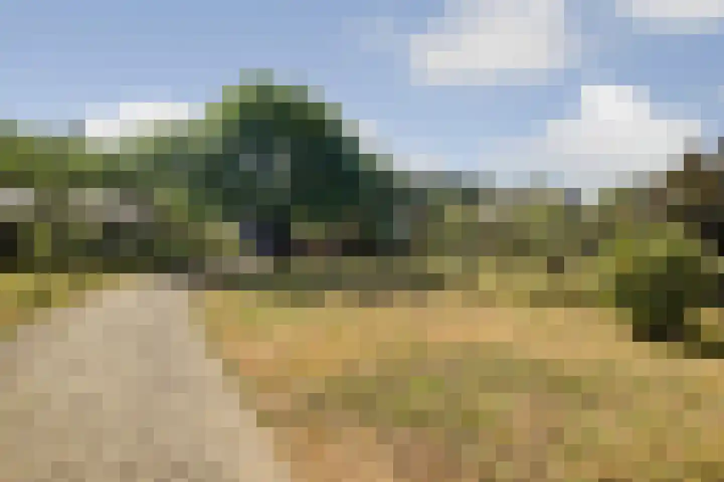 Meijelsedijk 70 Ospel thumbnail 72