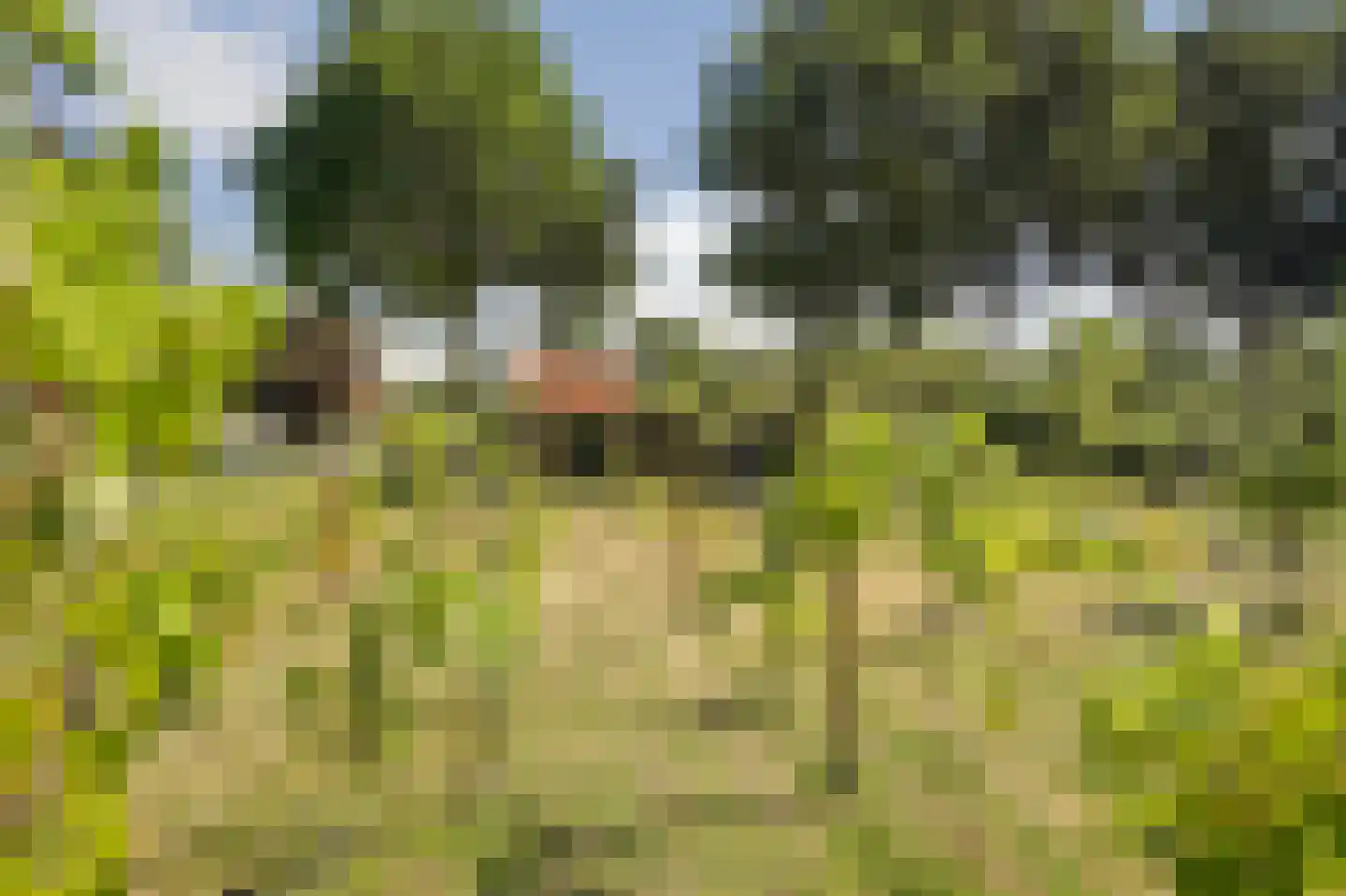 Meijelsedijk 70 Ospel thumbnail 73