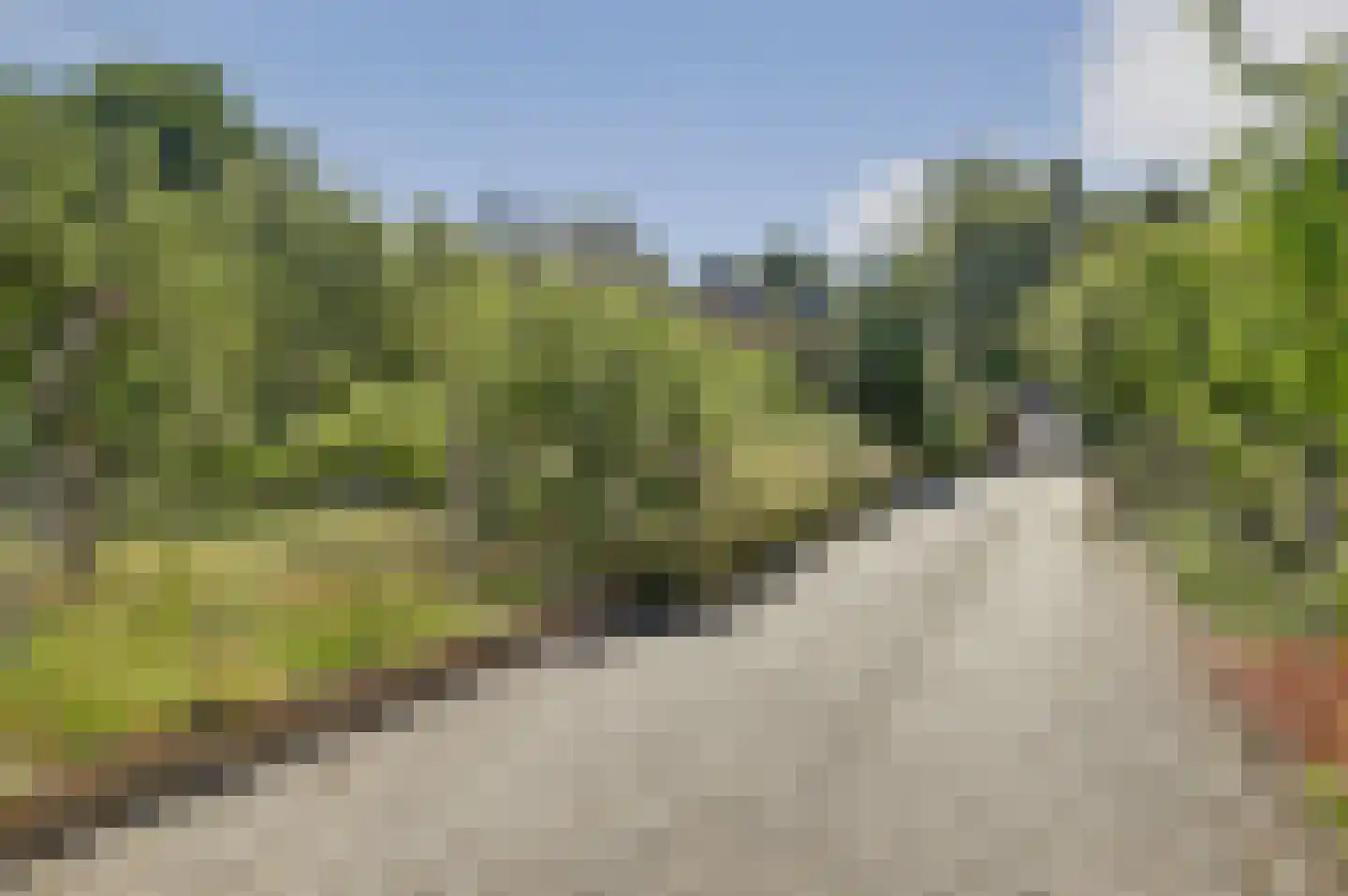 Meijelsedijk 70 Ospel thumbnail 78