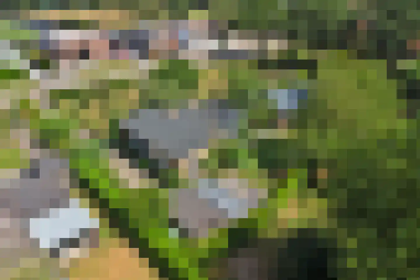 Meijelsedijk 70 Ospel thumbnail 79