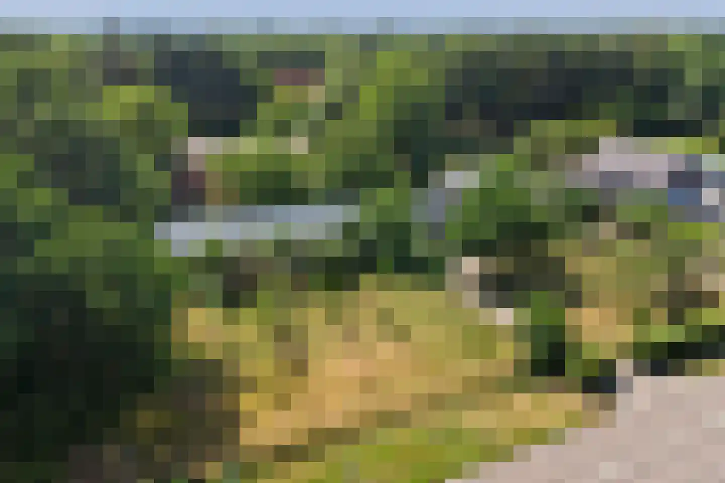 Meijelsedijk 70 Ospel thumbnail 84