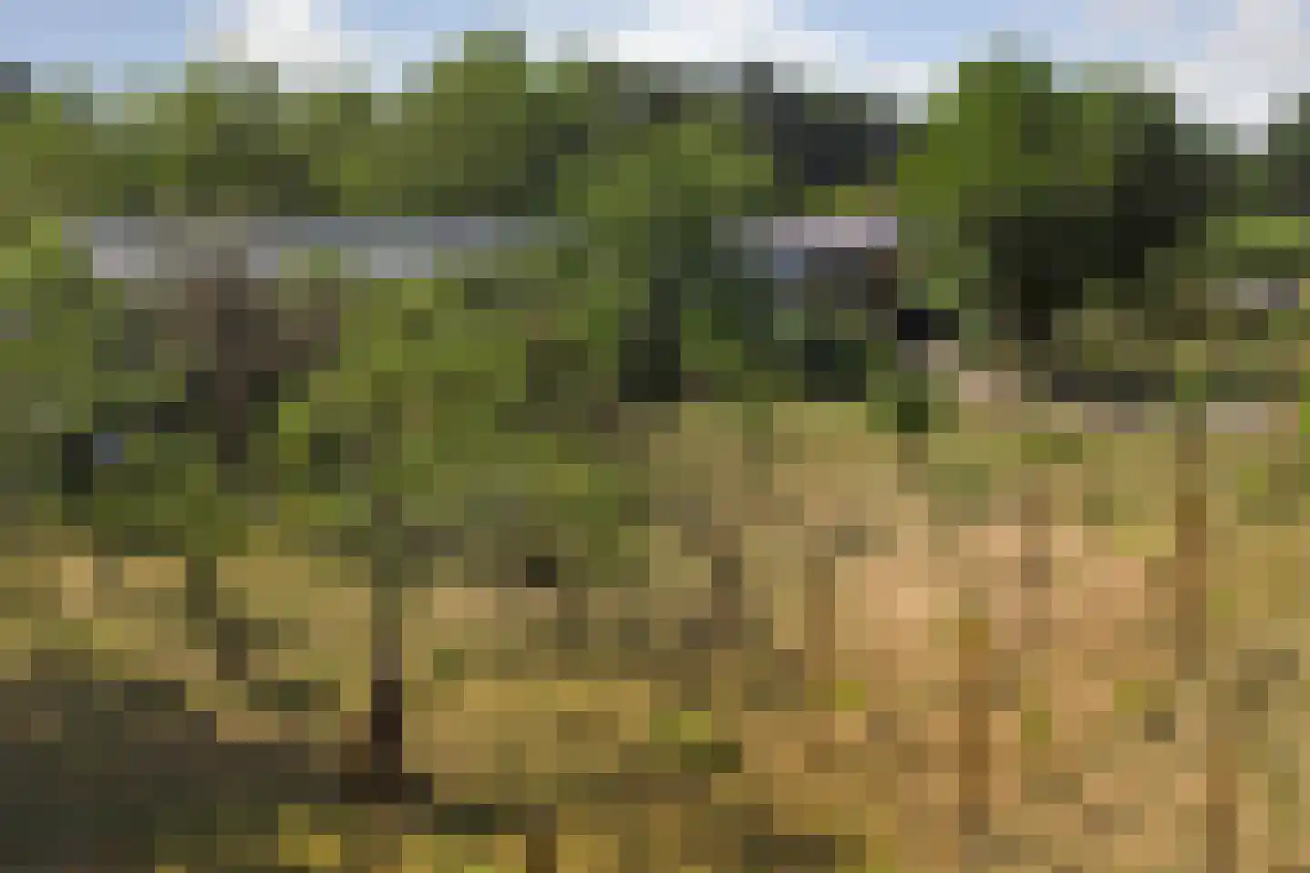 Meijelsedijk 70 Ospel thumbnail 86