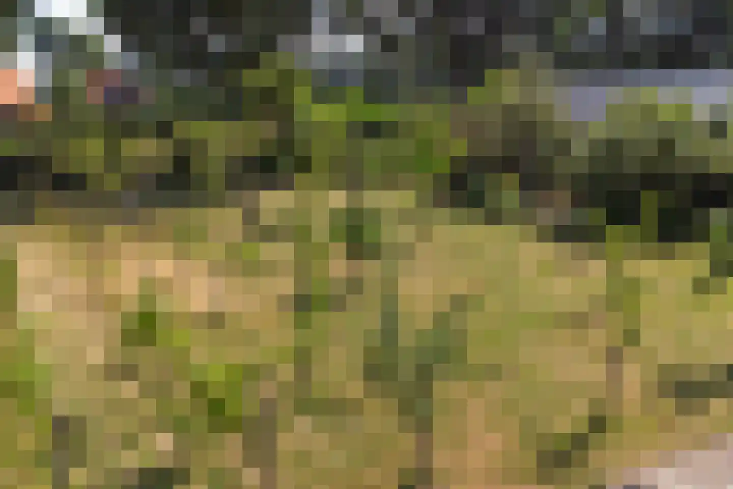 Meijelsedijk 70 Ospel thumbnail 87