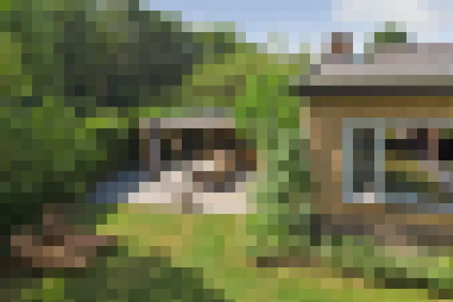 Meijelsedijk 70 Ospel thumbnail 89