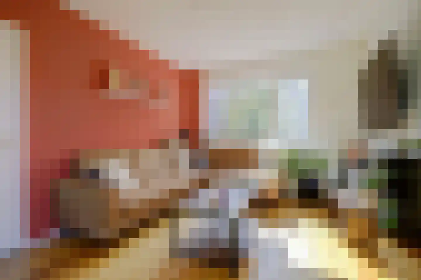 Meijelsedijk 70 Ospel thumbnail 9
