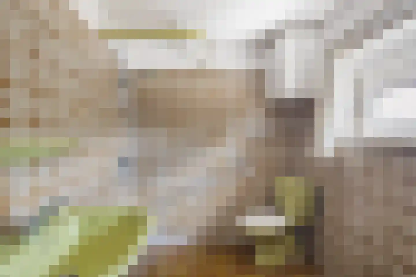 Meijelseweg 18 Beringe thumbnail 24