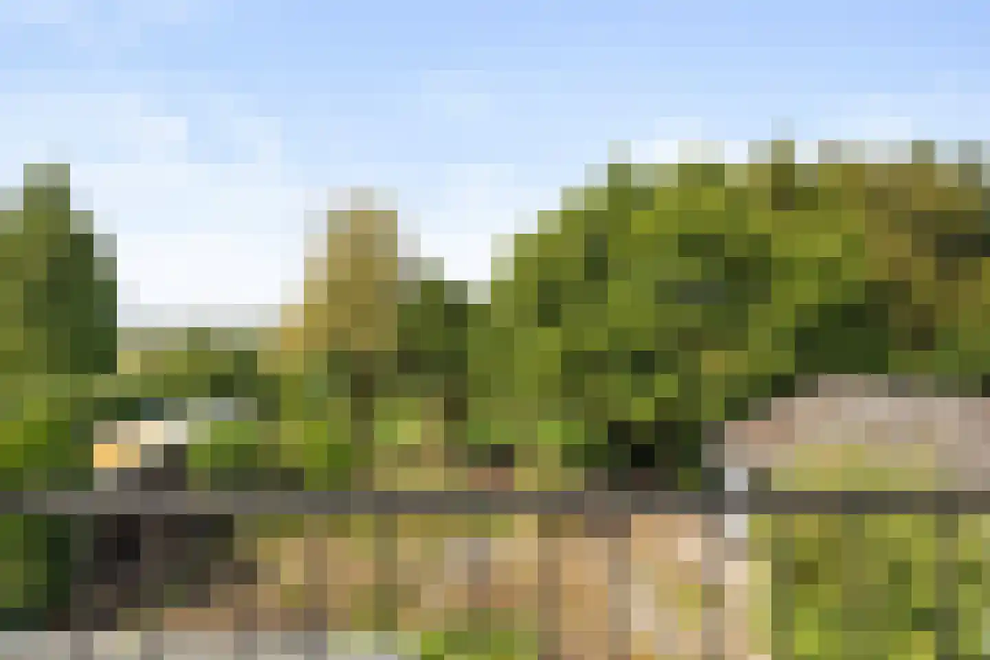 Meijelseweg 18 Beringe thumbnail 32
