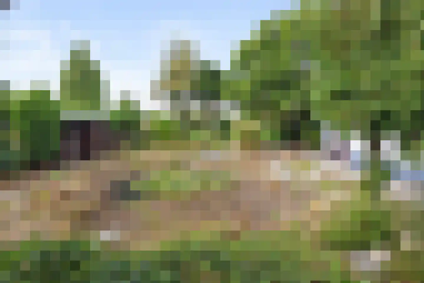 Meijelseweg 18 Beringe thumbnail 34
