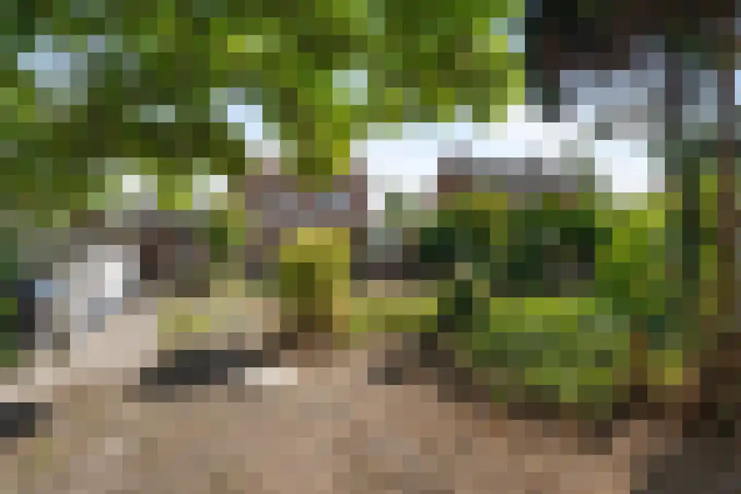 Meijelseweg 18 Beringe thumbnail 40