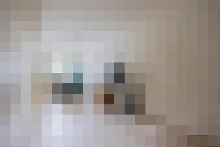 Meijelseweg 34 Beringe thumbnail 36