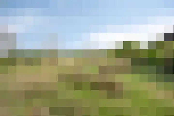 Meijelseweg 34 Beringe thumbnail 43