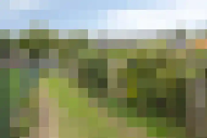 Meijelseweg 34 Beringe thumbnail 46