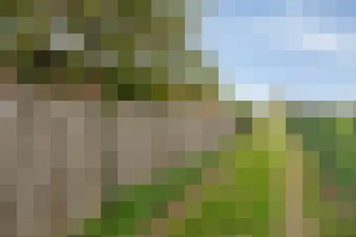 Meijelseweg 34 Beringe thumbnail 47
