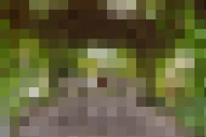 Meijelseweg 34 Beringe thumbnail 48