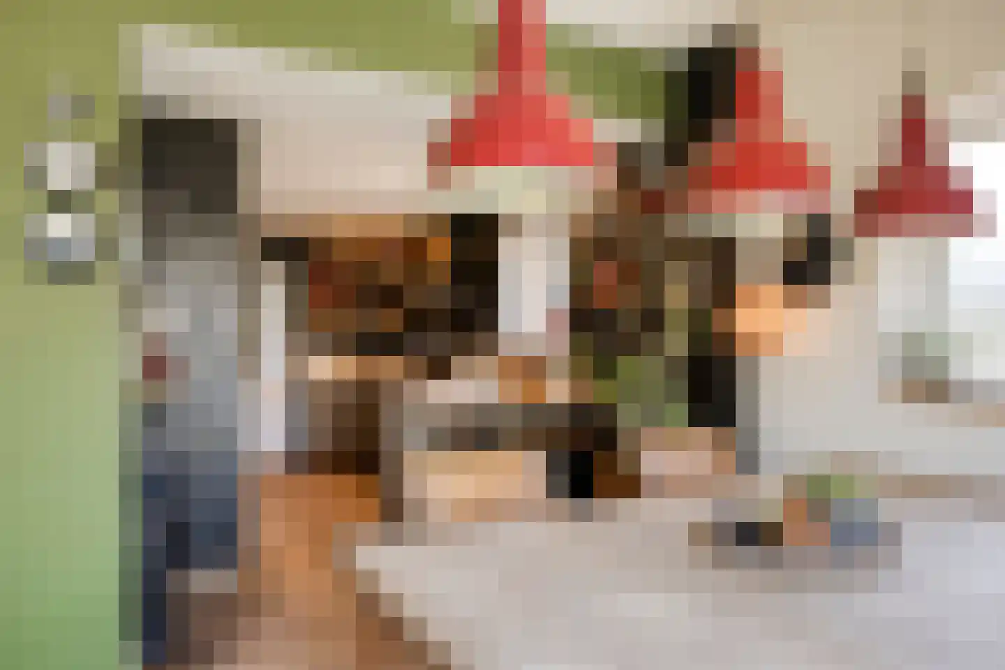 Meijelseweg 4 Heibloem thumbnail 21