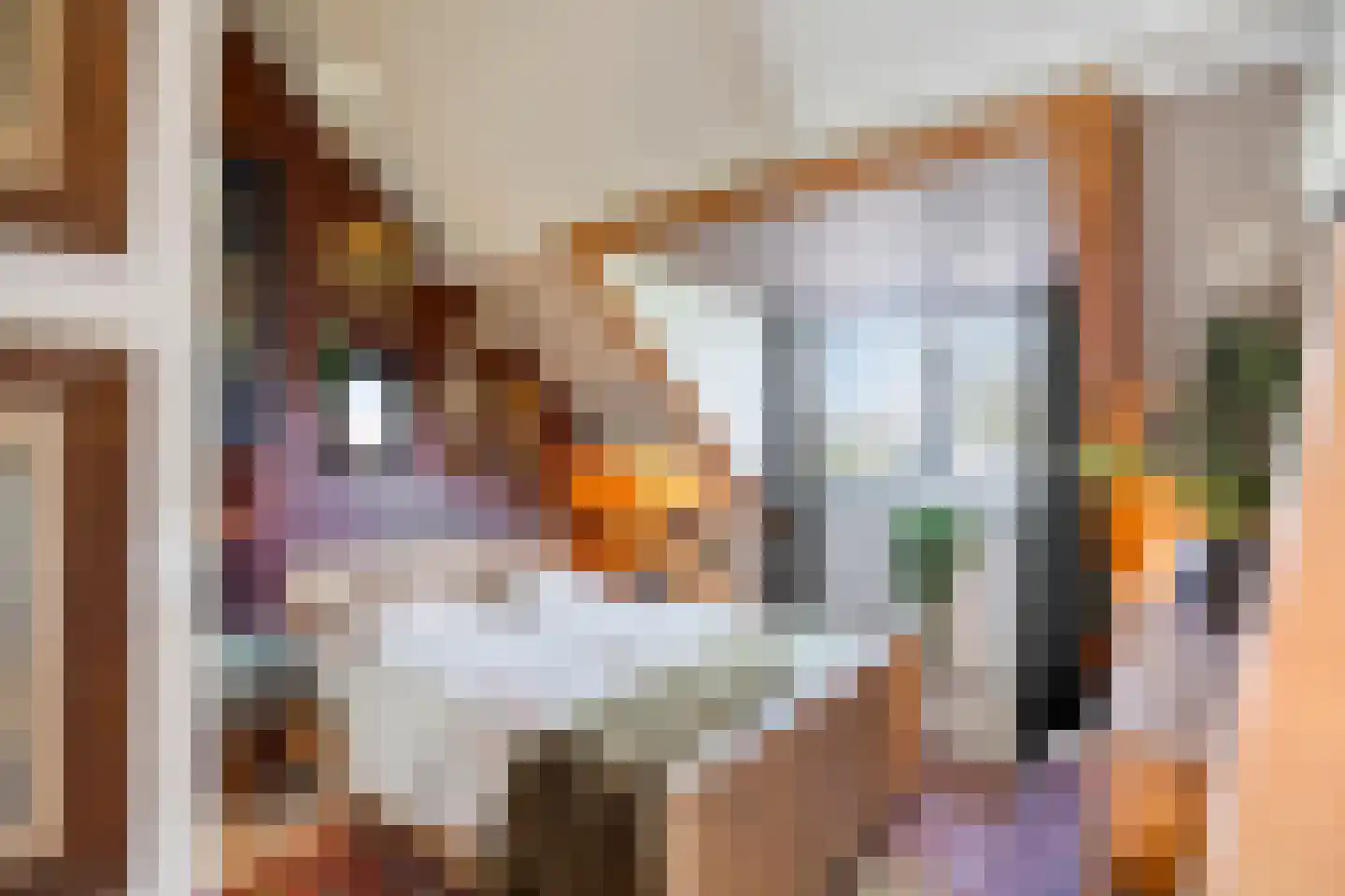 Meijelseweg 4 Heibloem thumbnail 39