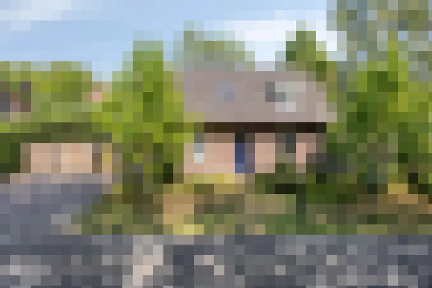 Meijelseweg 4 Heibloem thumbnail 5