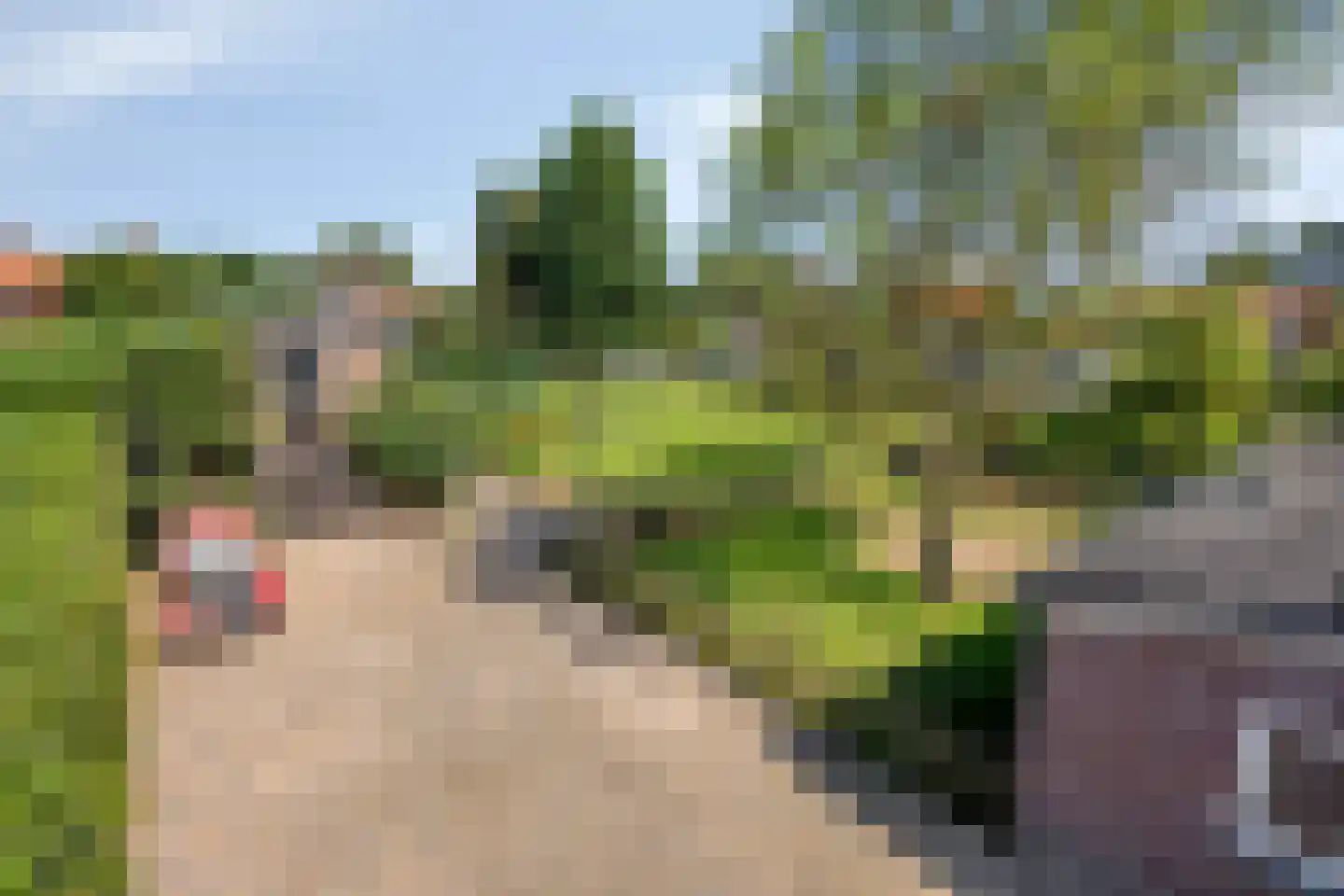 Meijelseweg 4 Heibloem thumbnail 50
