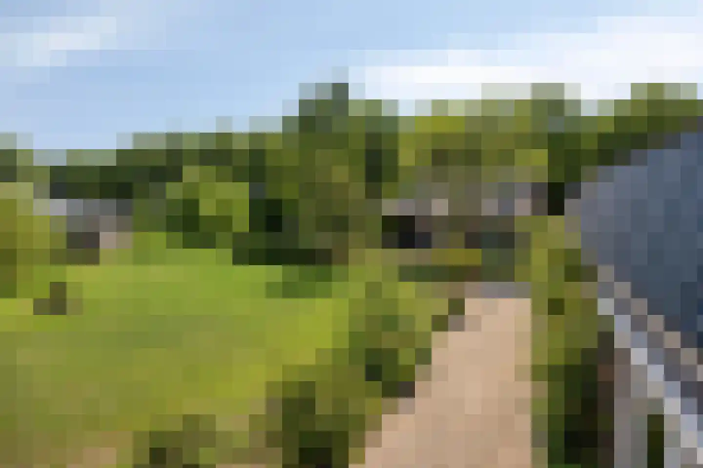 Meijelseweg 4 Heibloem thumbnail 51