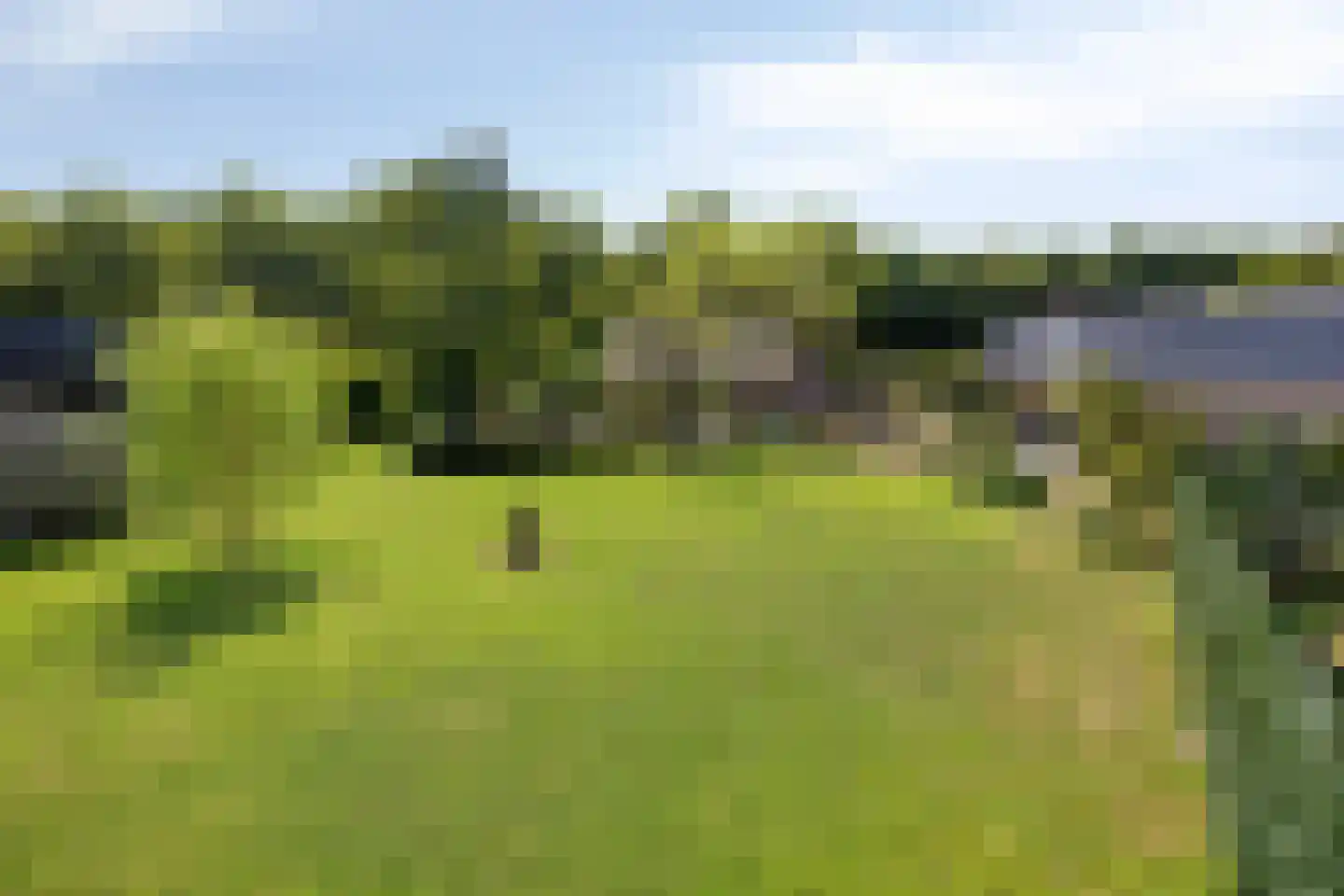 Meijelseweg 4 Heibloem thumbnail 52
