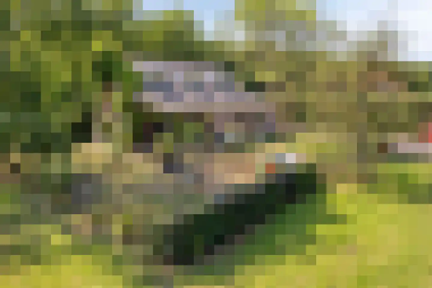 Meijelseweg 4 Heibloem thumbnail 53