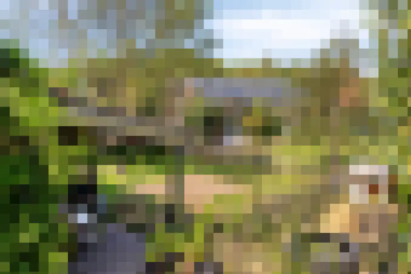Meijelseweg 4 Heibloem thumbnail 54