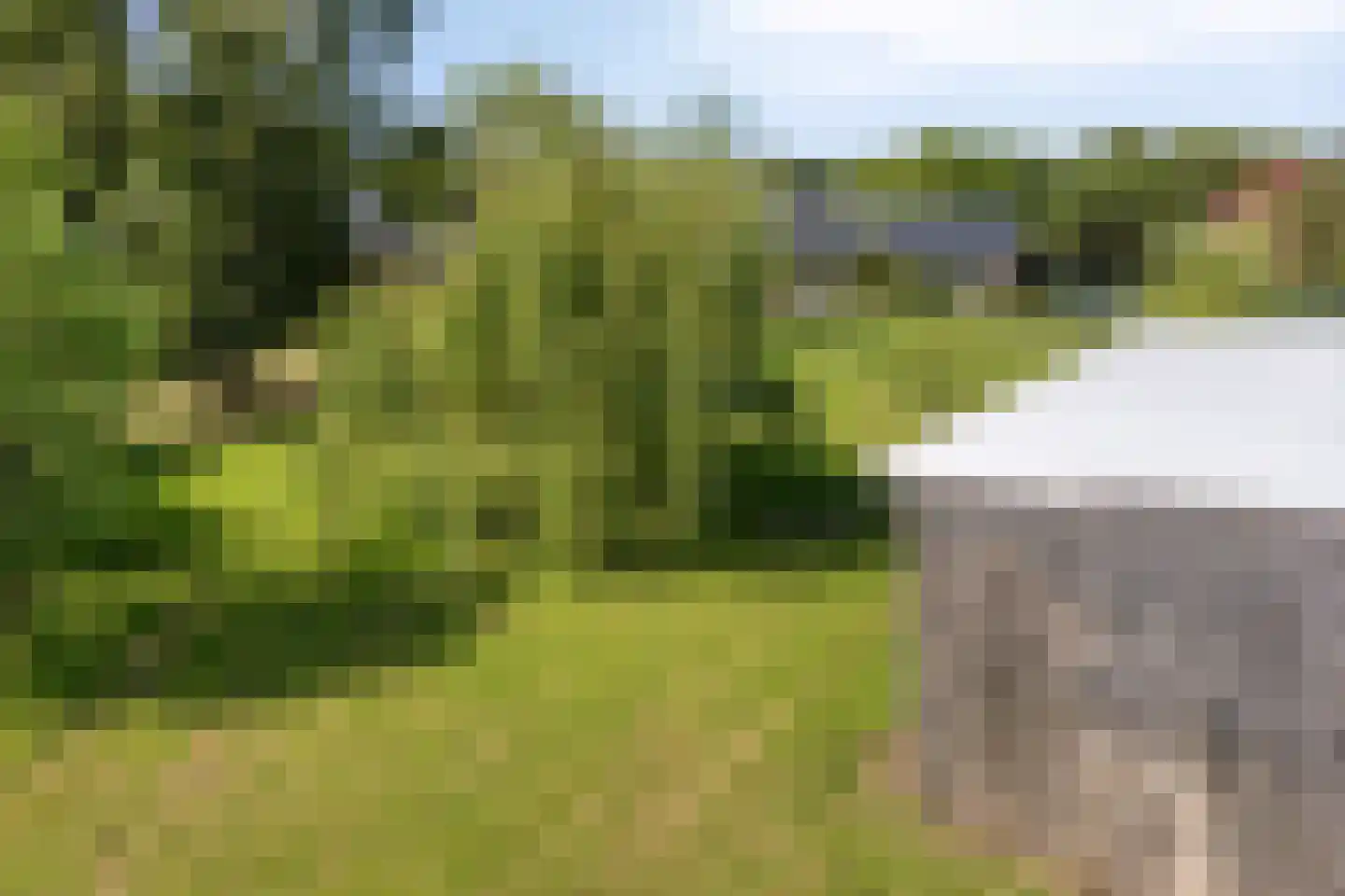 Meijelseweg 4 Heibloem thumbnail 55