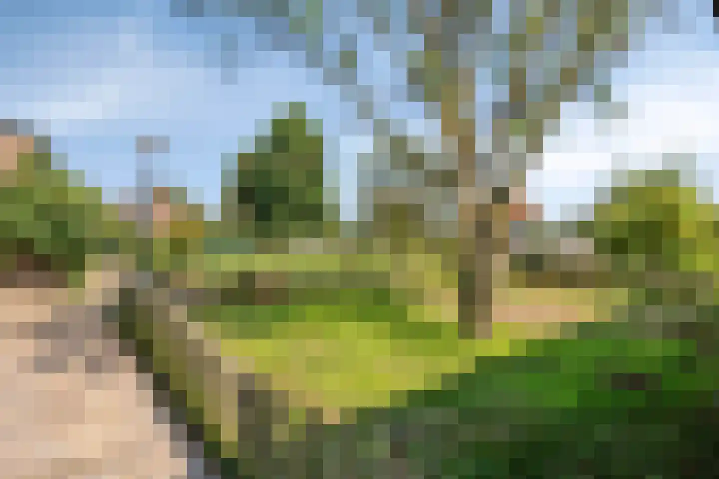 Meijelseweg 4 Heibloem thumbnail 56