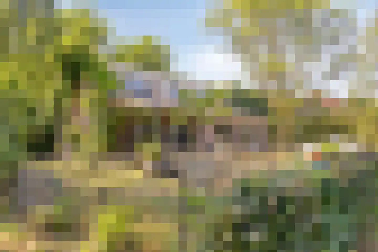 Meijelseweg 4 Heibloem thumbnail 61
