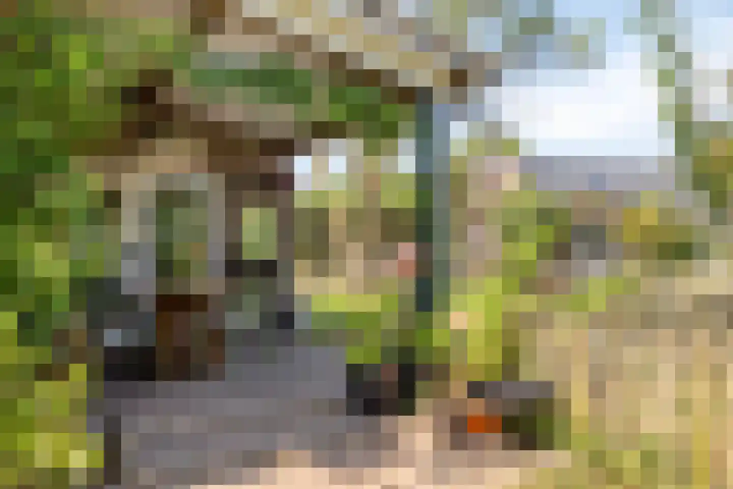 Meijelseweg 4 Heibloem thumbnail 63