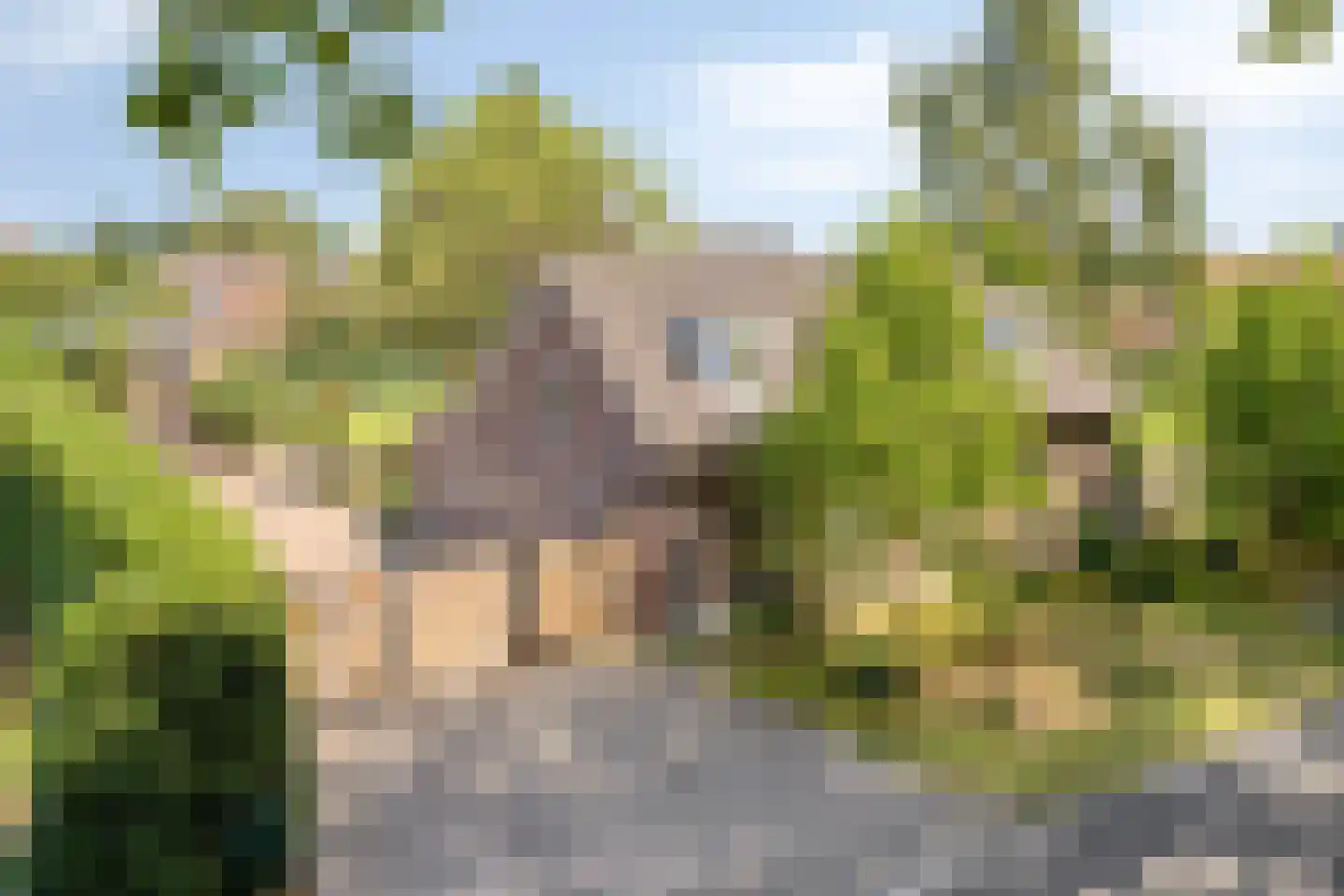 Meijelseweg 4 Heibloem thumbnail 7