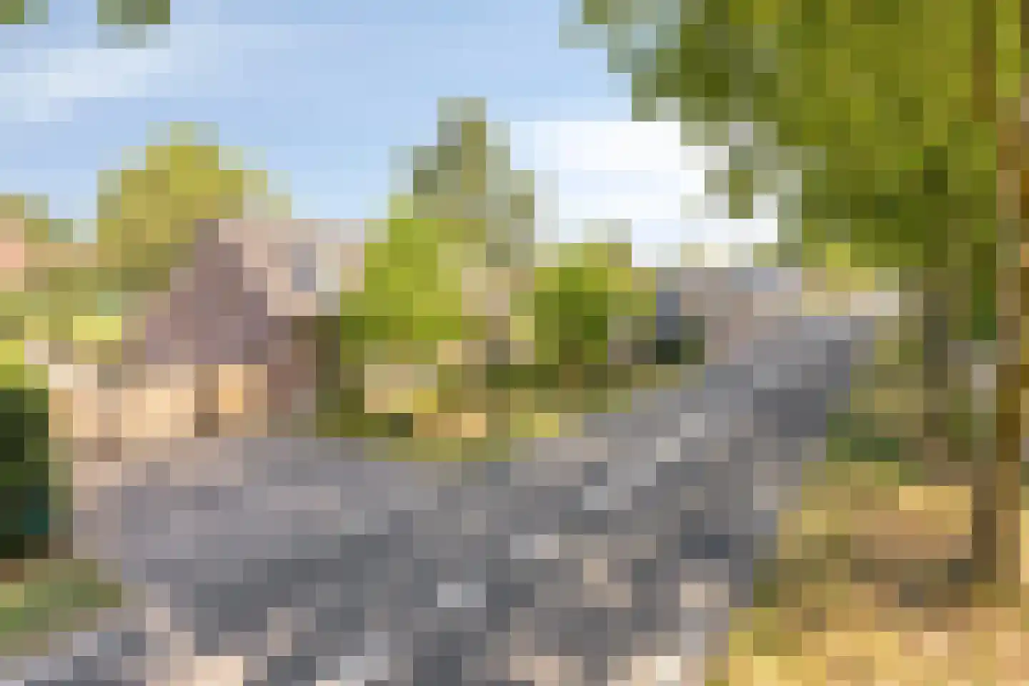 Meijelseweg 4 Heibloem thumbnail 8