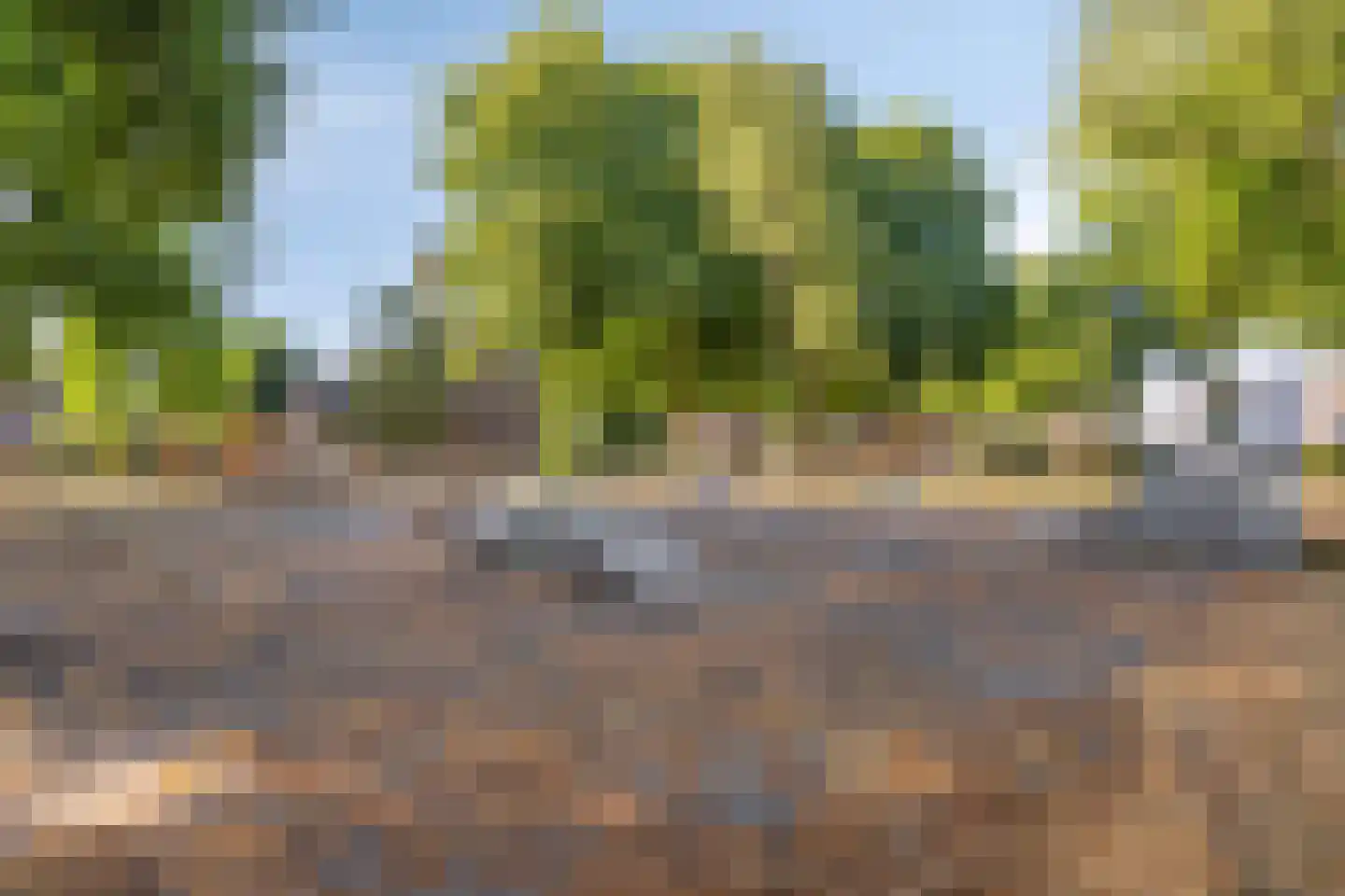 Meijelseweg 4 Heibloem thumbnail 80