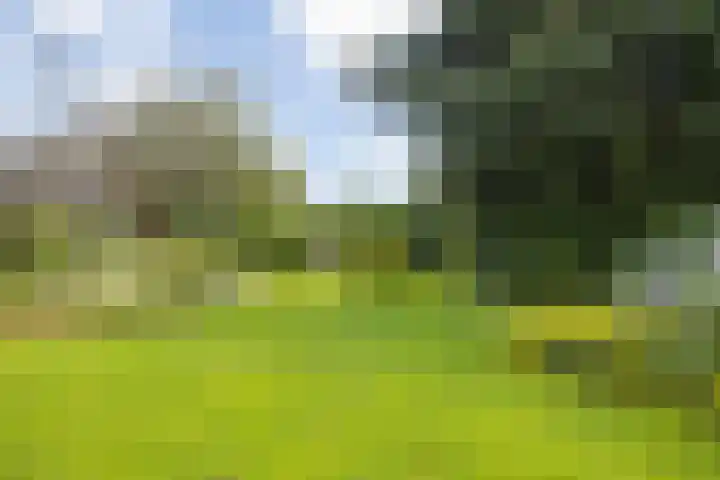 Meijelseweg 65 Beringe thumbnail 40