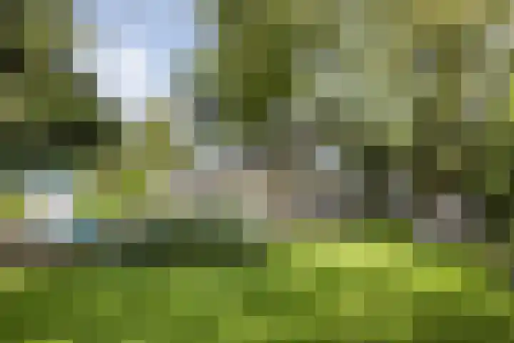 Meijelseweg 65 Beringe thumbnail 46