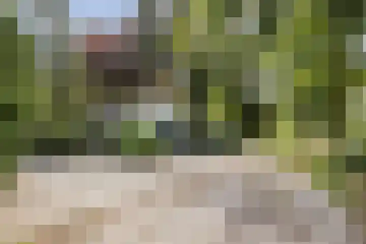 Meijelseweg 65 Beringe thumbnail 50