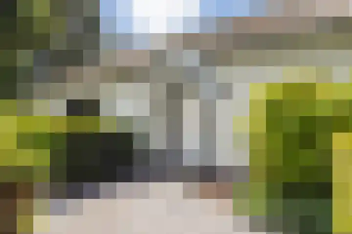 Meijelseweg 65 Beringe thumbnail 51