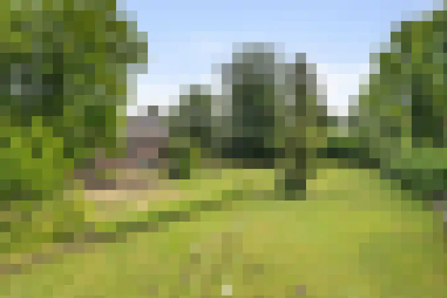 Meijelseweg 67 Beringe thumbnail 4
