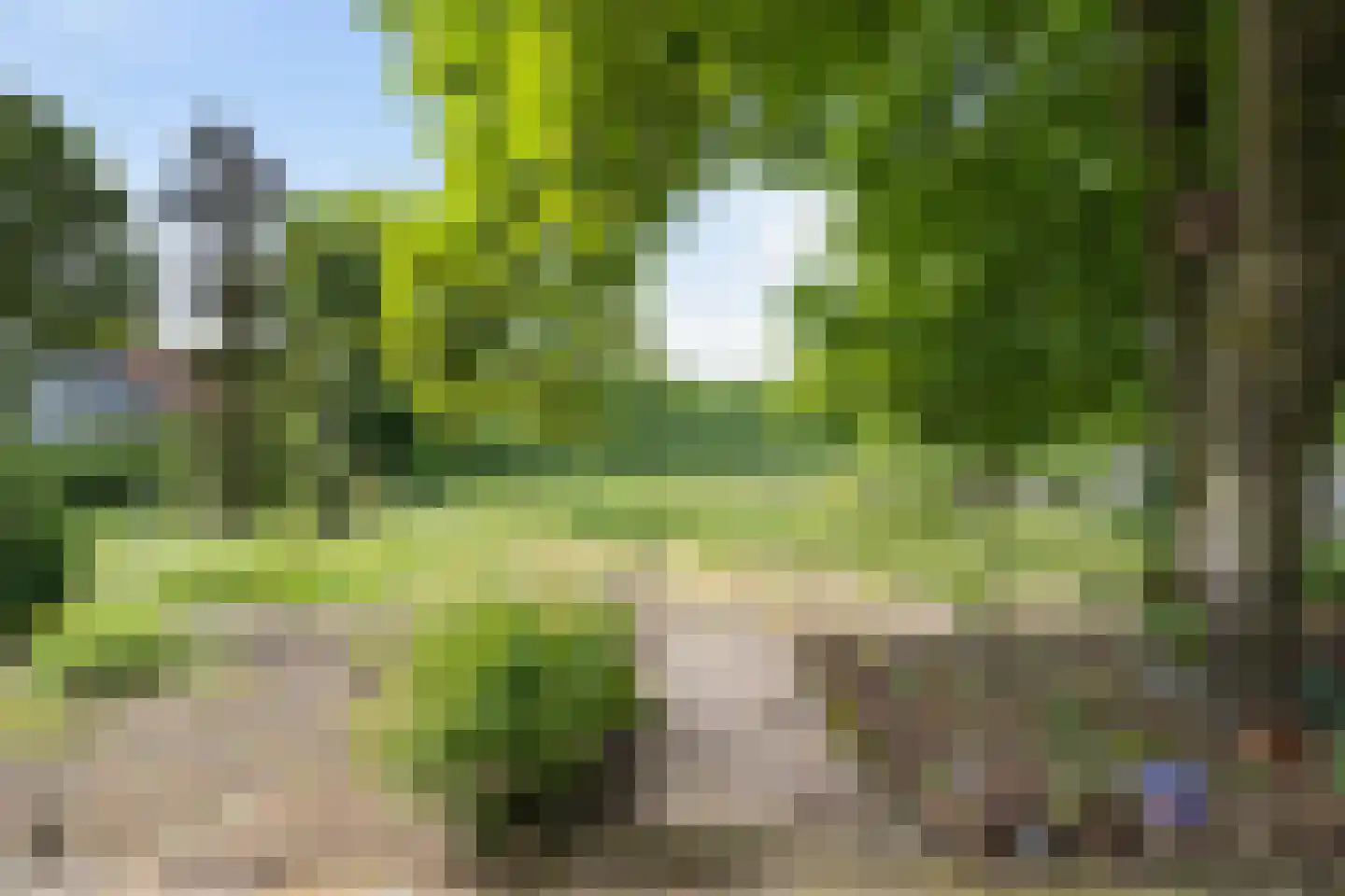 Meijelseweg 67 Beringe thumbnail 44