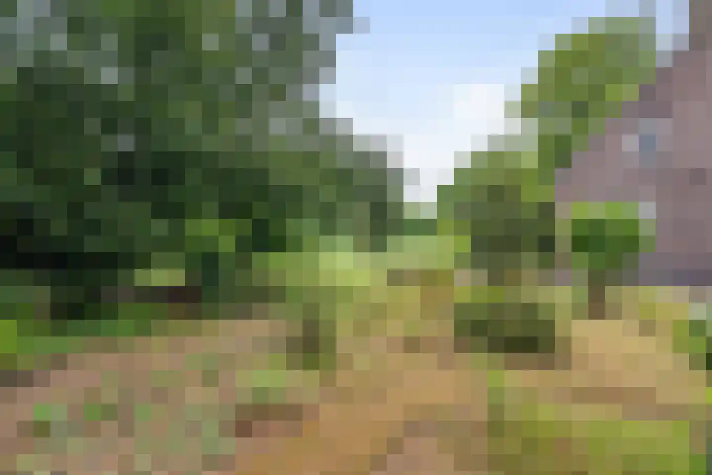 Meijelseweg 67 Beringe thumbnail 46