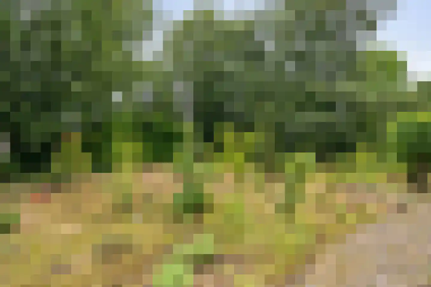 Meijelseweg 67 Beringe thumbnail 47