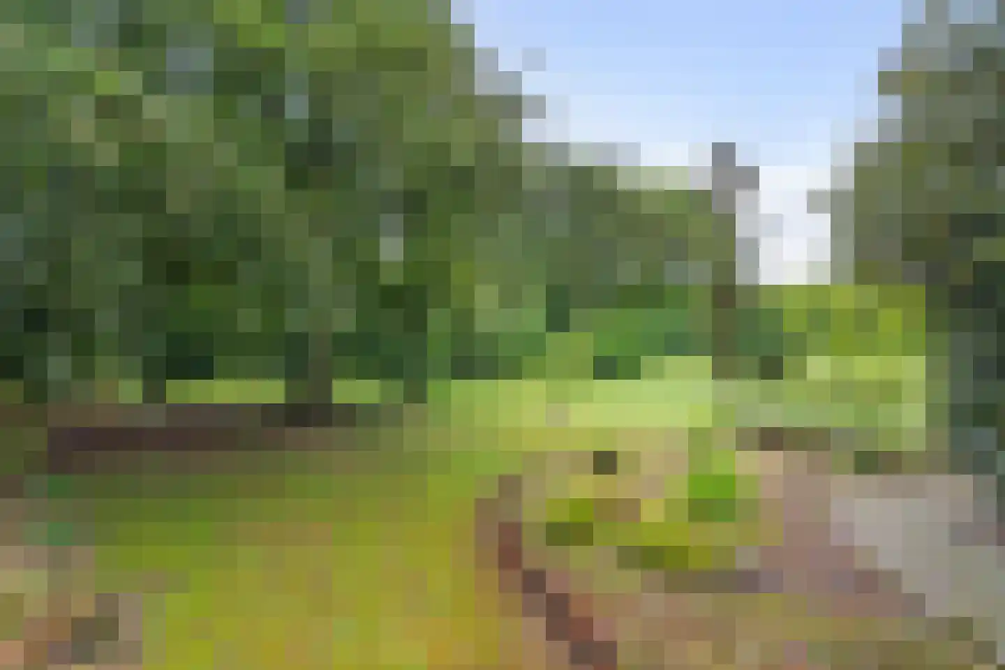 Meijelseweg 67 Beringe thumbnail 48