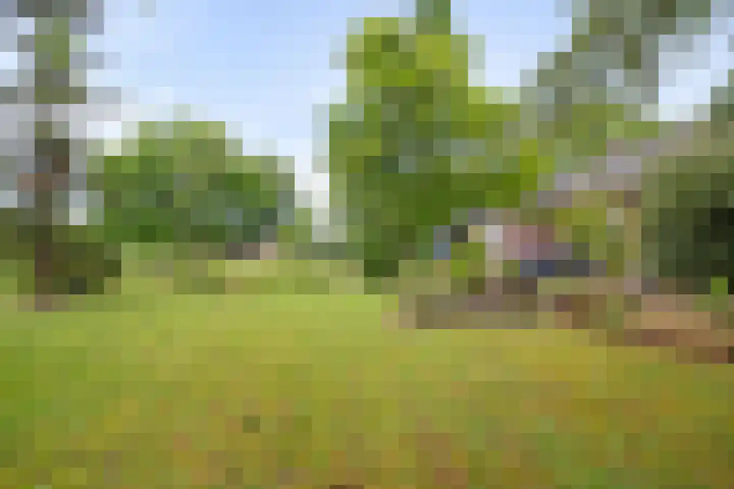 Meijelseweg 67 Beringe thumbnail 49