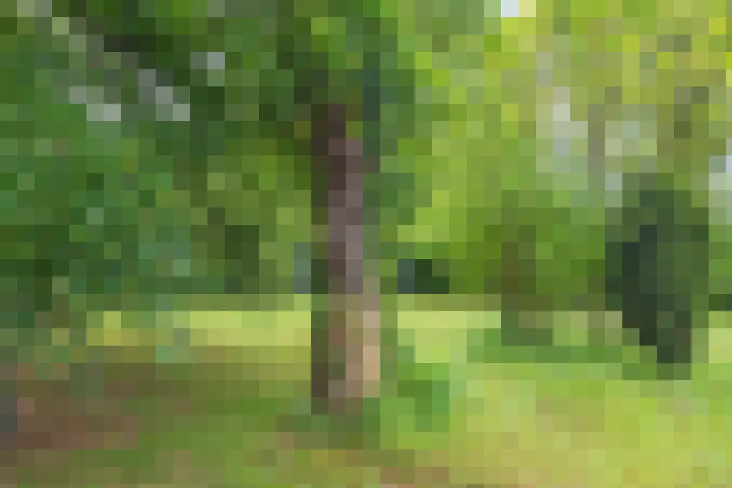 Meijelseweg 67 Beringe thumbnail 50