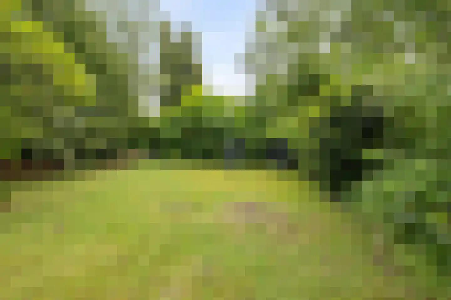 Meijelseweg 67 Beringe thumbnail 52