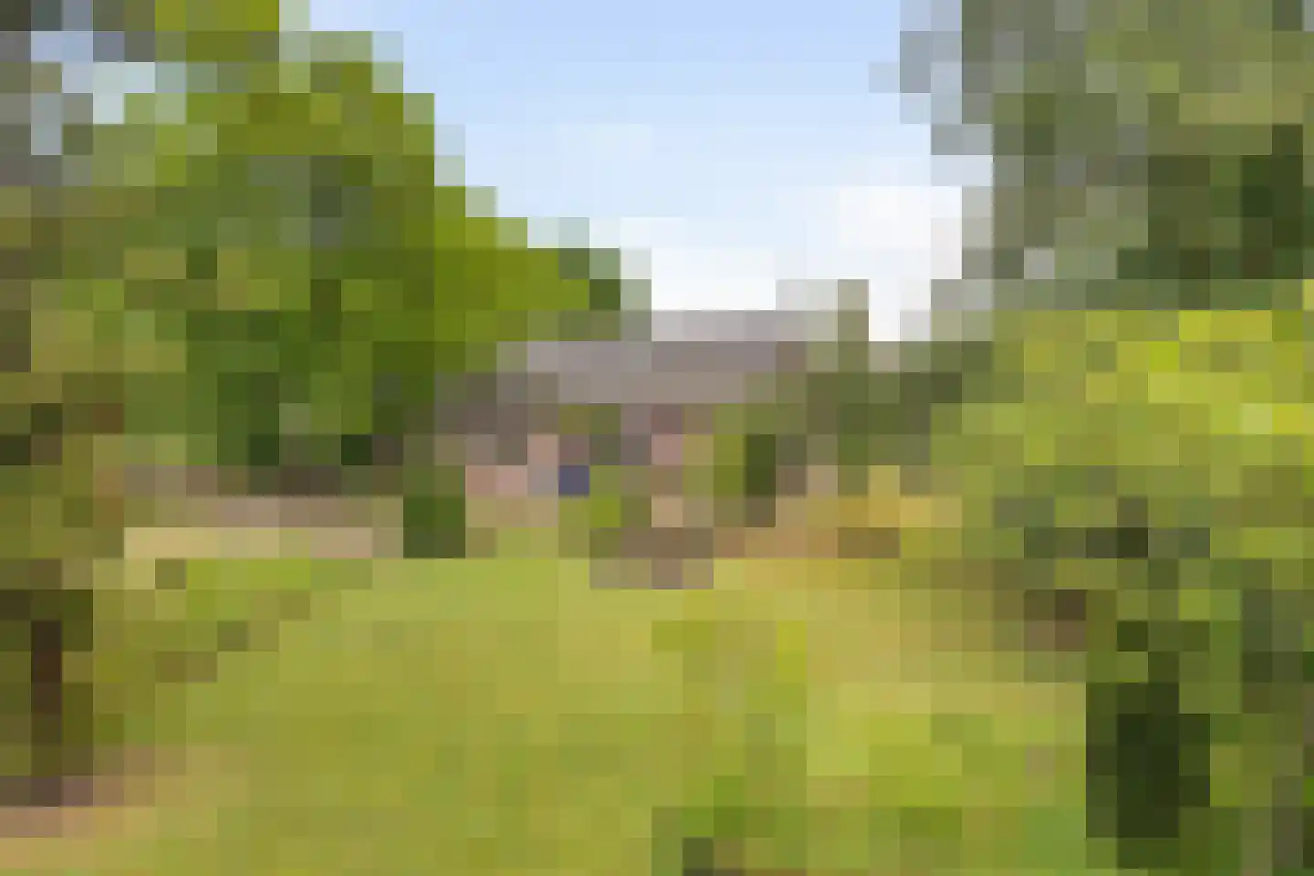 Meijelseweg 67 Beringe thumbnail 54