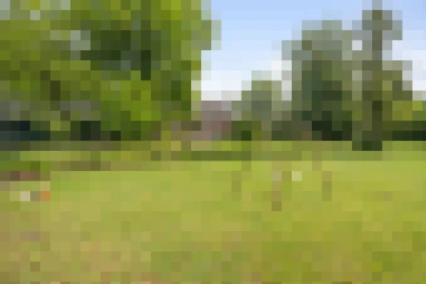 Meijelseweg 67 Beringe thumbnail 55