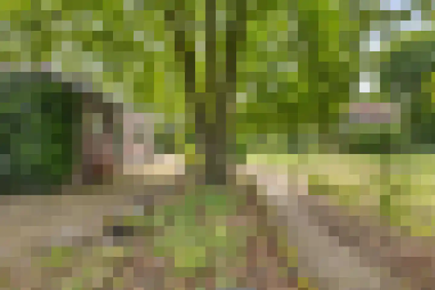 Meijelseweg 67 Beringe thumbnail 57