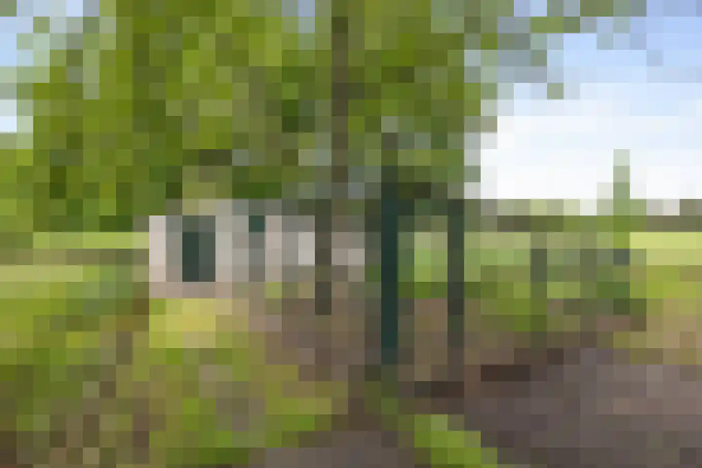 Meijelseweg 67 Beringe thumbnail 58