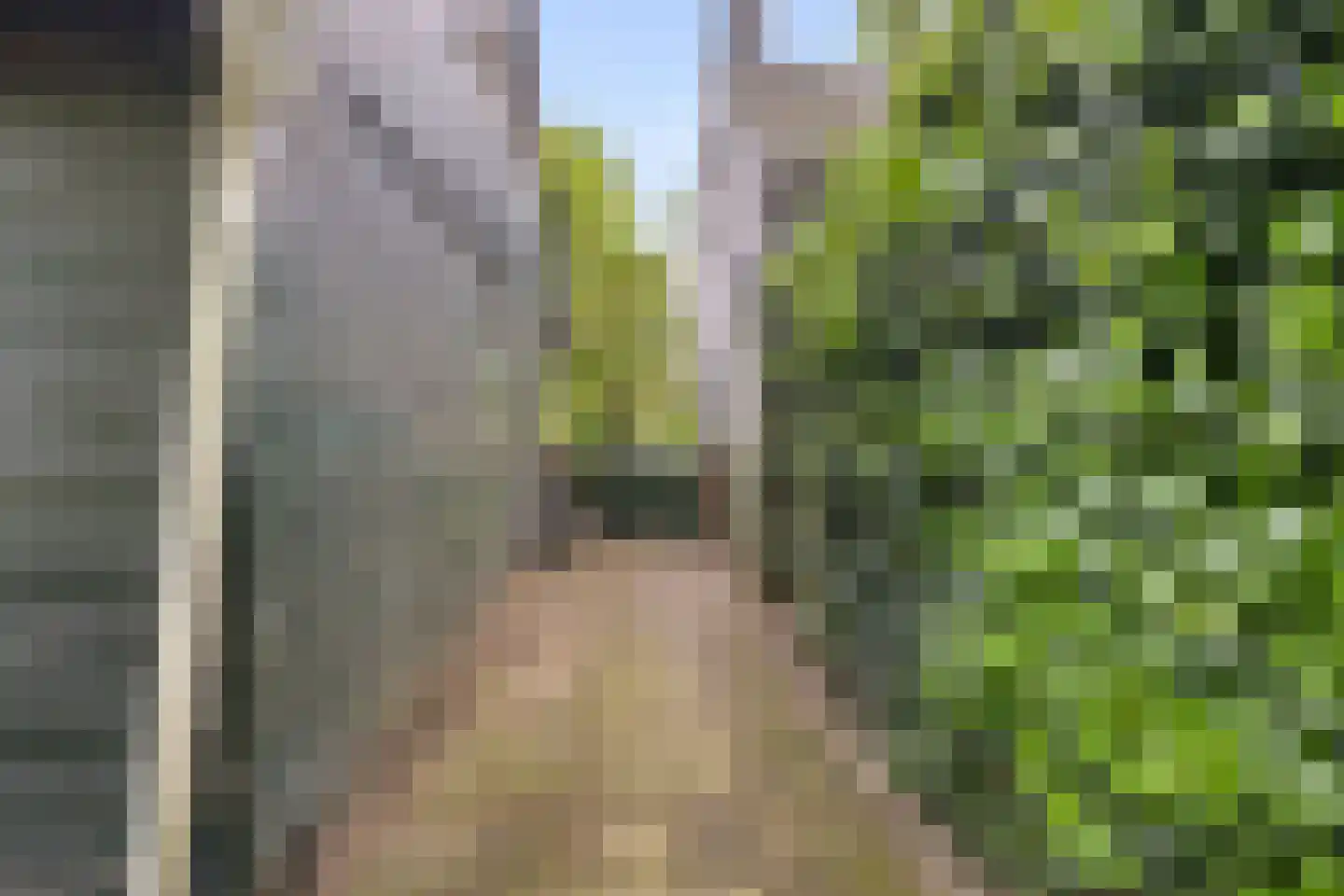 Meijelseweg 67 Beringe thumbnail 60